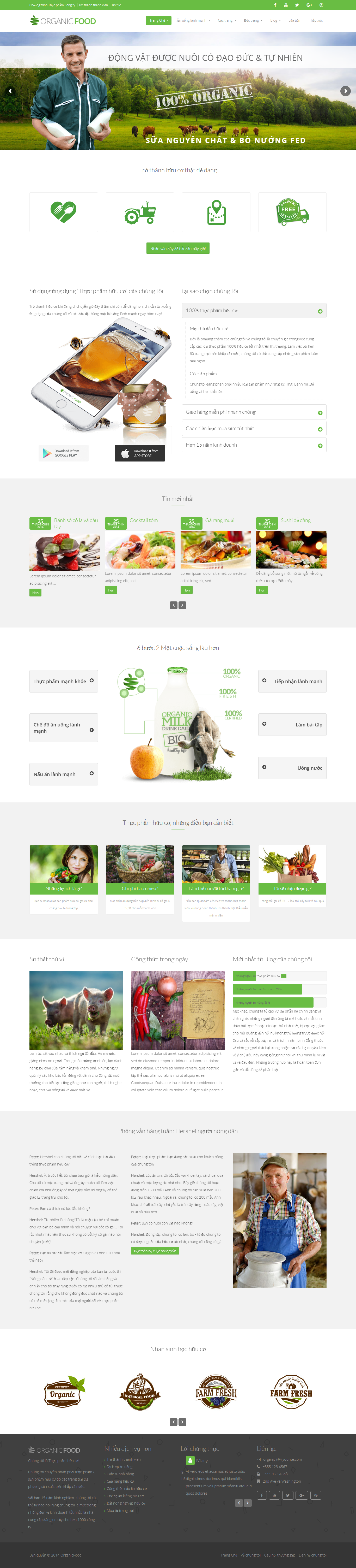 Mẫu website thực phẩm 013
